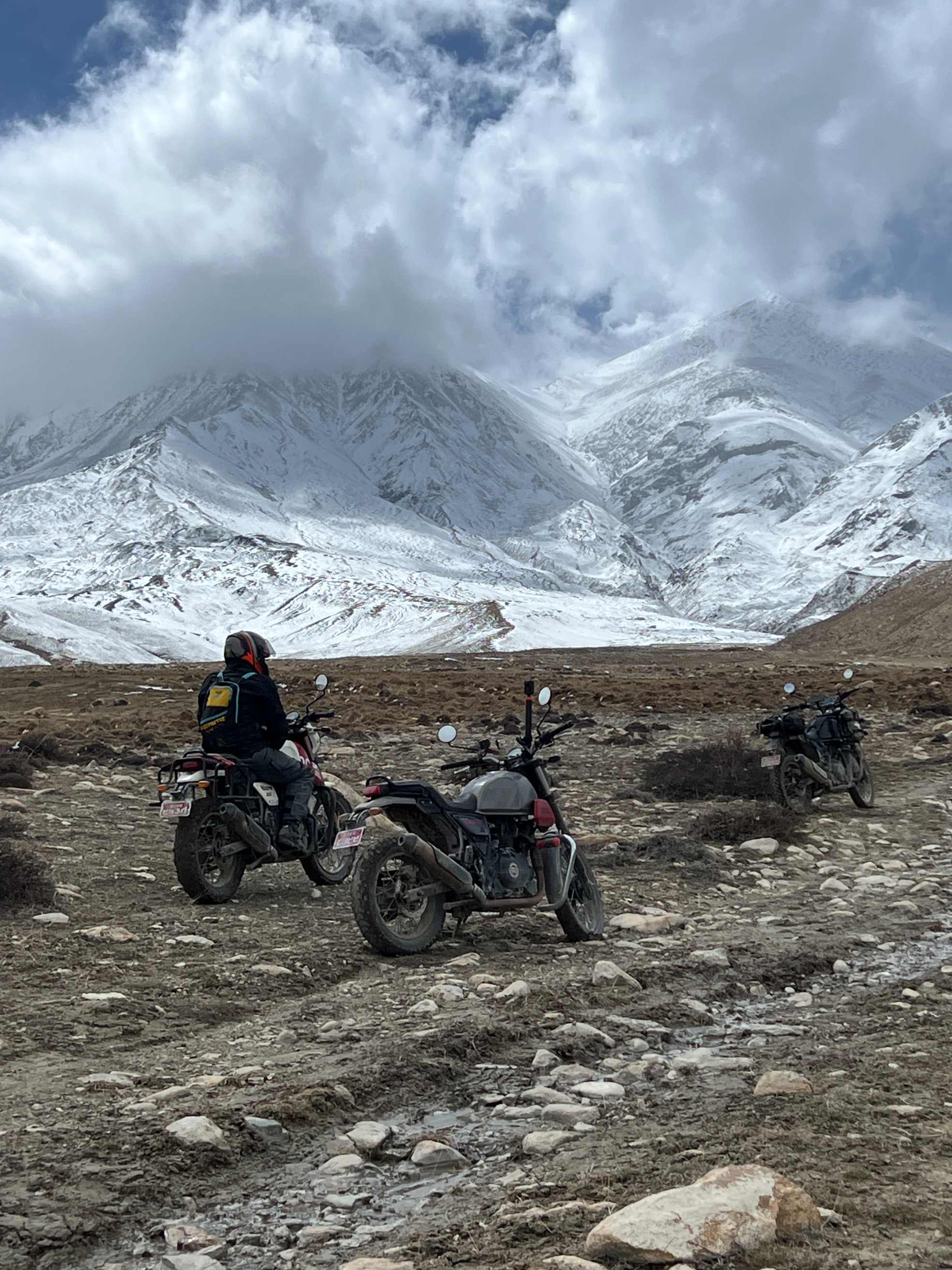 Lower Mustang